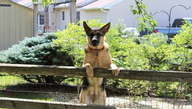 Legal Re-Sort To Keep The Neighbor’s Dogs Off Your Grass