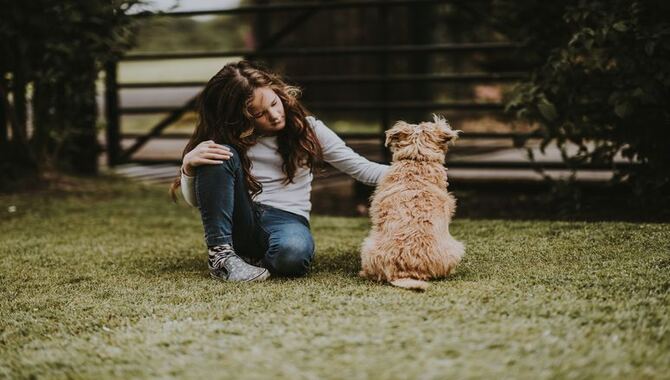 Negotiate With Neighbors Who Leave Their Dogs Pooping In  Garden
