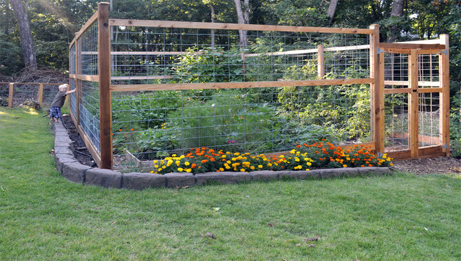 Prevention Tips For Garden Protection