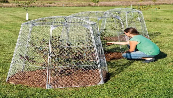 Protect Plants With Chicken Wire