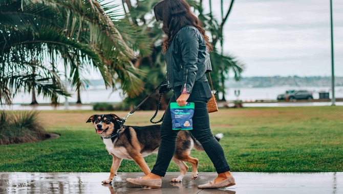 Provide Doggy Bags To Pet Owners Or Dog Walkers
