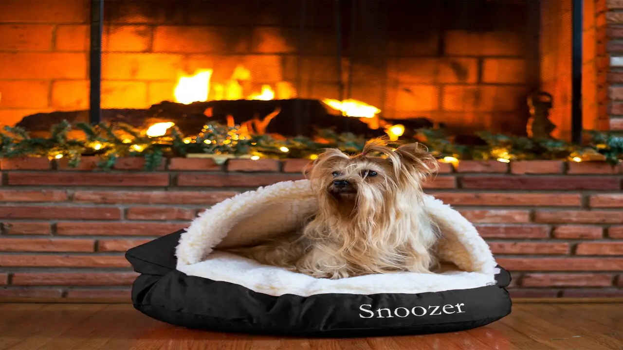 Snoozer Classic Poly-Cotton Cozy Cave Pet Bed