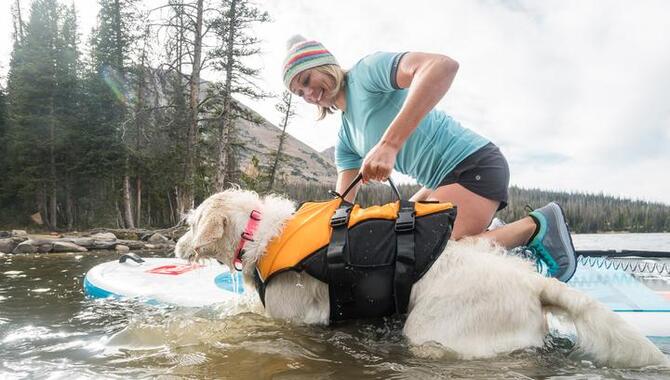 Stunt Puppy Float Doggy Life Jacket