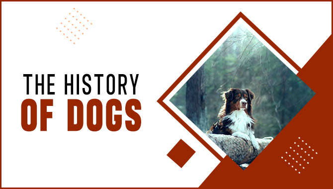 The History Of Dogs