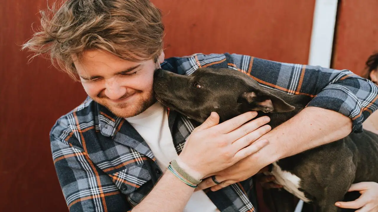 Things To Keep In Mind When Adopting A Dog That Is Not Family-Friendly