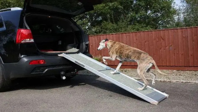 Tips For Choosing The Right Ramp For Your Dog