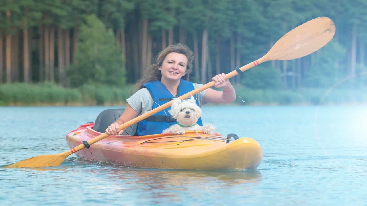 Tips For Your First Kayaking Trip With Your Dog