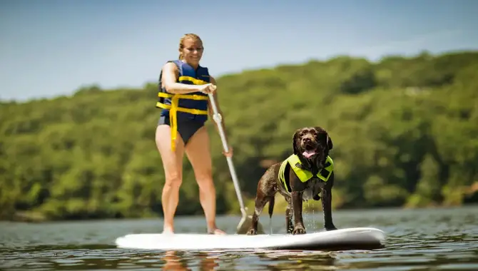 Tips On Training Your Dog To Ride On A SUP