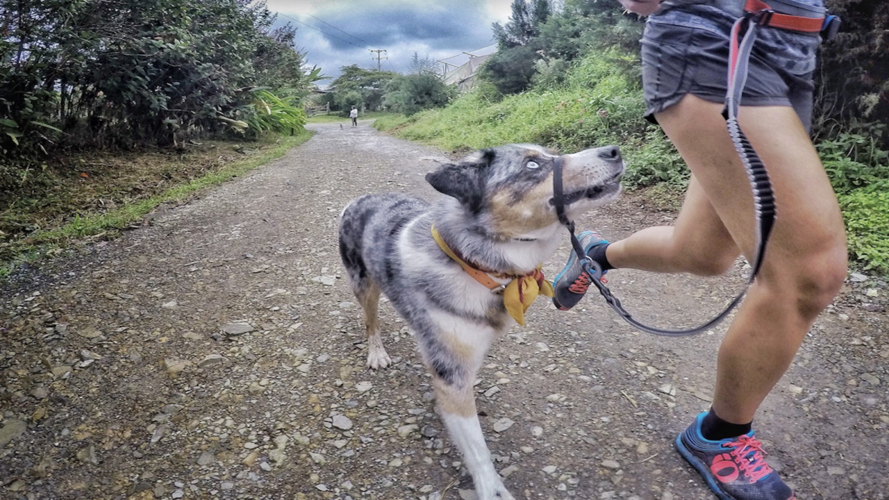 Trail Running