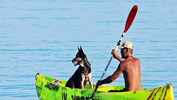 What To  Consider Before Taking Your Dog On  A Kayak