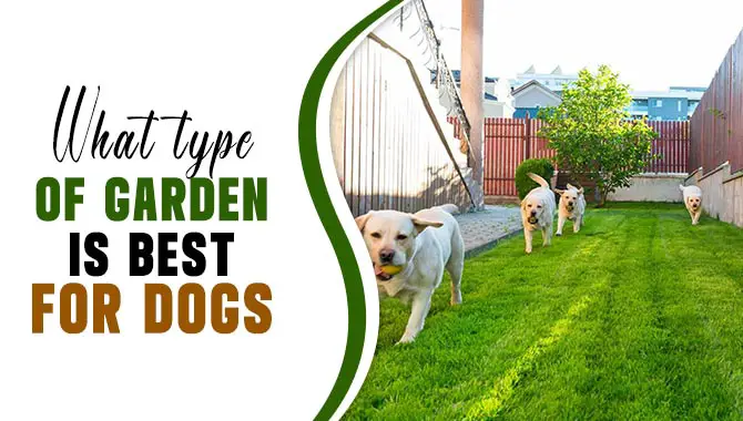 What type of garden is best for dogs