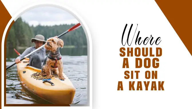 Where Should A Dog Sit On A Kayak