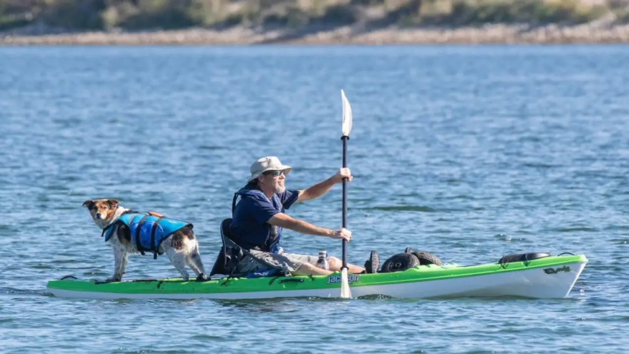 Why Kayaking With A Small Dog Can Be A Great Experience