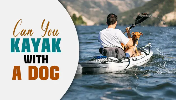 Can You Kayak With A Dog