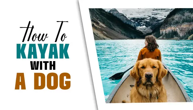 How To Kayak With A Dog