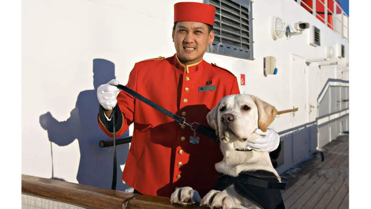 Can Service Dogs Accompany You On A Cruise