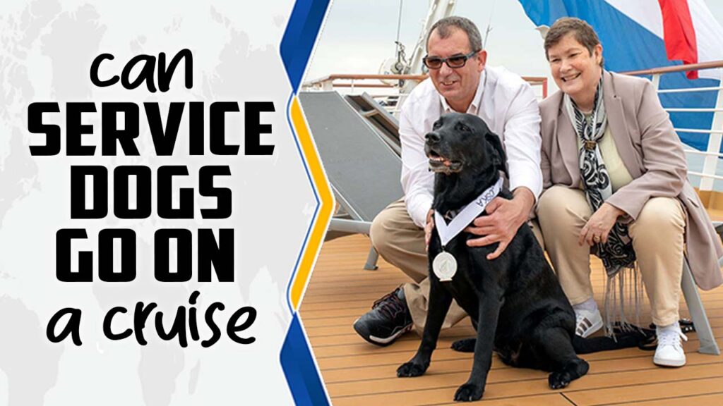 Can Service Dogs Go On A Cruise A Guide For Beginners