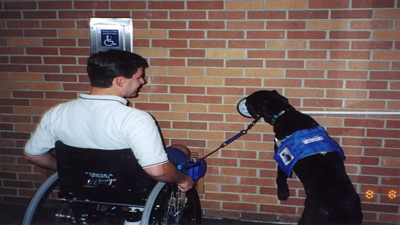 Defining An Assistance Animal Under The Fair Housing Act