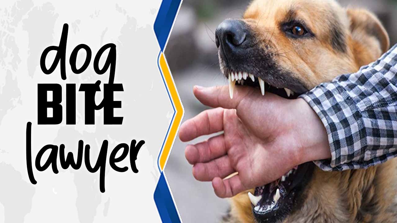 When Dogs Attack: The Importance Of Hiring A Skilled Dog Bite Lawyer