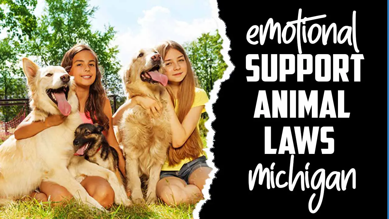 Emotional Support Animal Laws Michigan