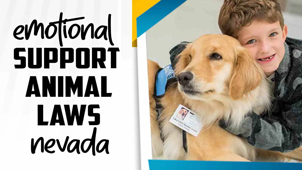 Emotional Support Animal Laws Nevada