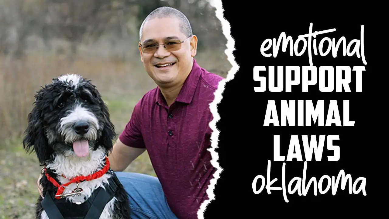 Emotional Support Animal Laws Oklahoma