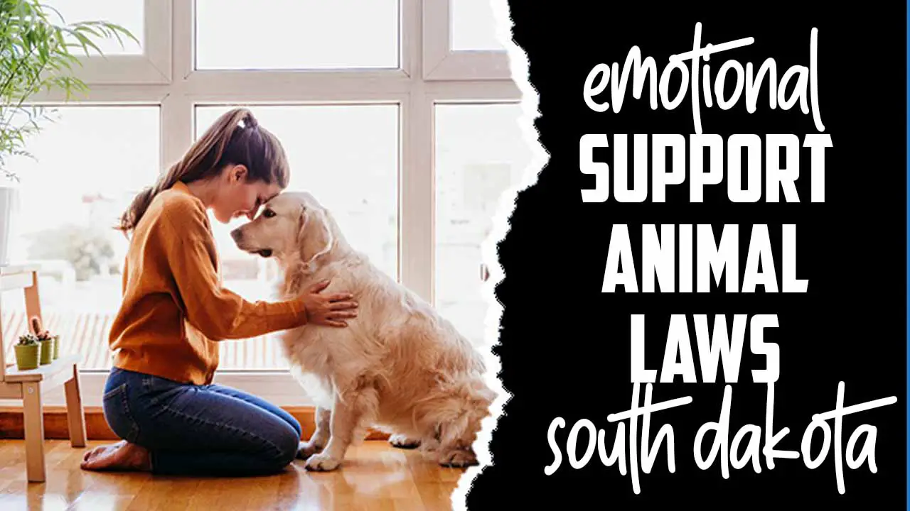 Emotional Support Animal Laws South Dakota