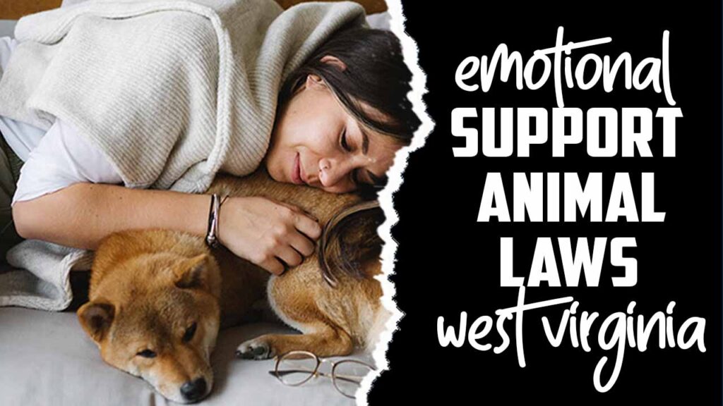 Emotional Support Animal Laws West Virginia Explained In Detail