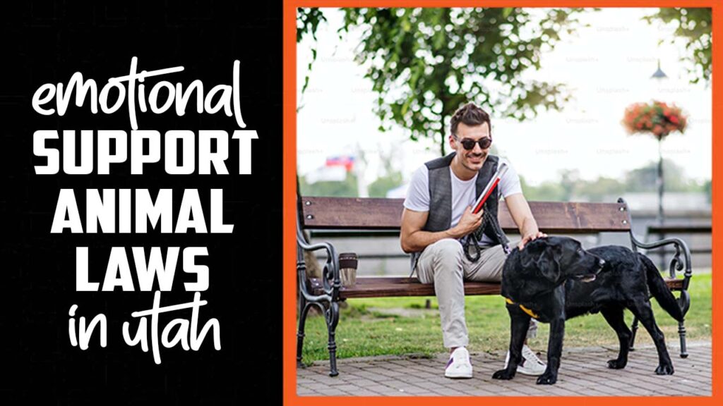 Emotional Support Animal Laws In Utah A Details Guide