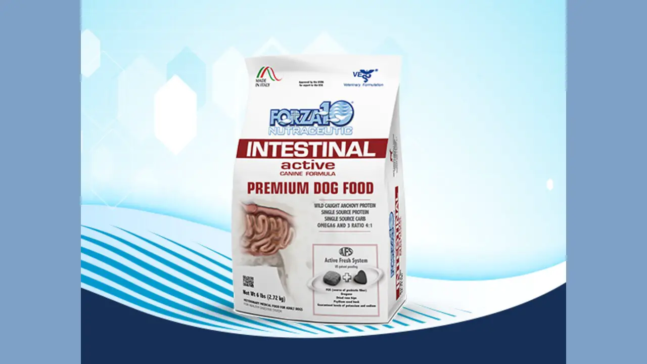 Forza10 Active Dry Intestinal Dog Food
