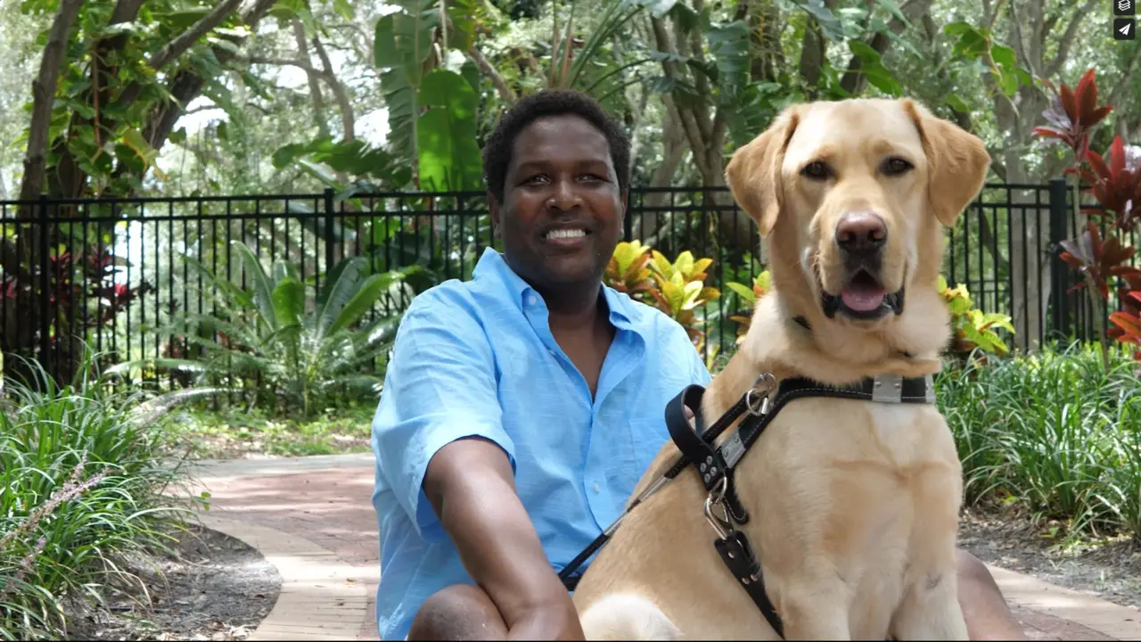 Guide Dogs For The Visually Impaired