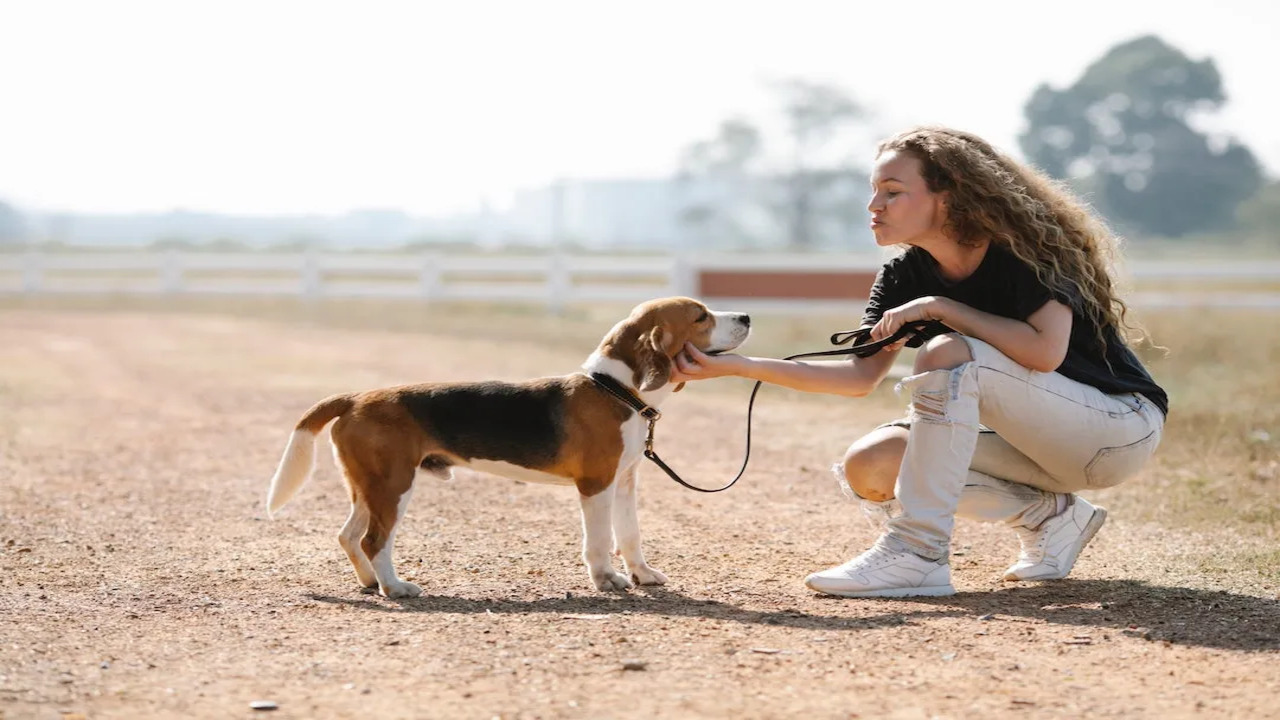 How To Get An Emotional Support Animal In Idaho