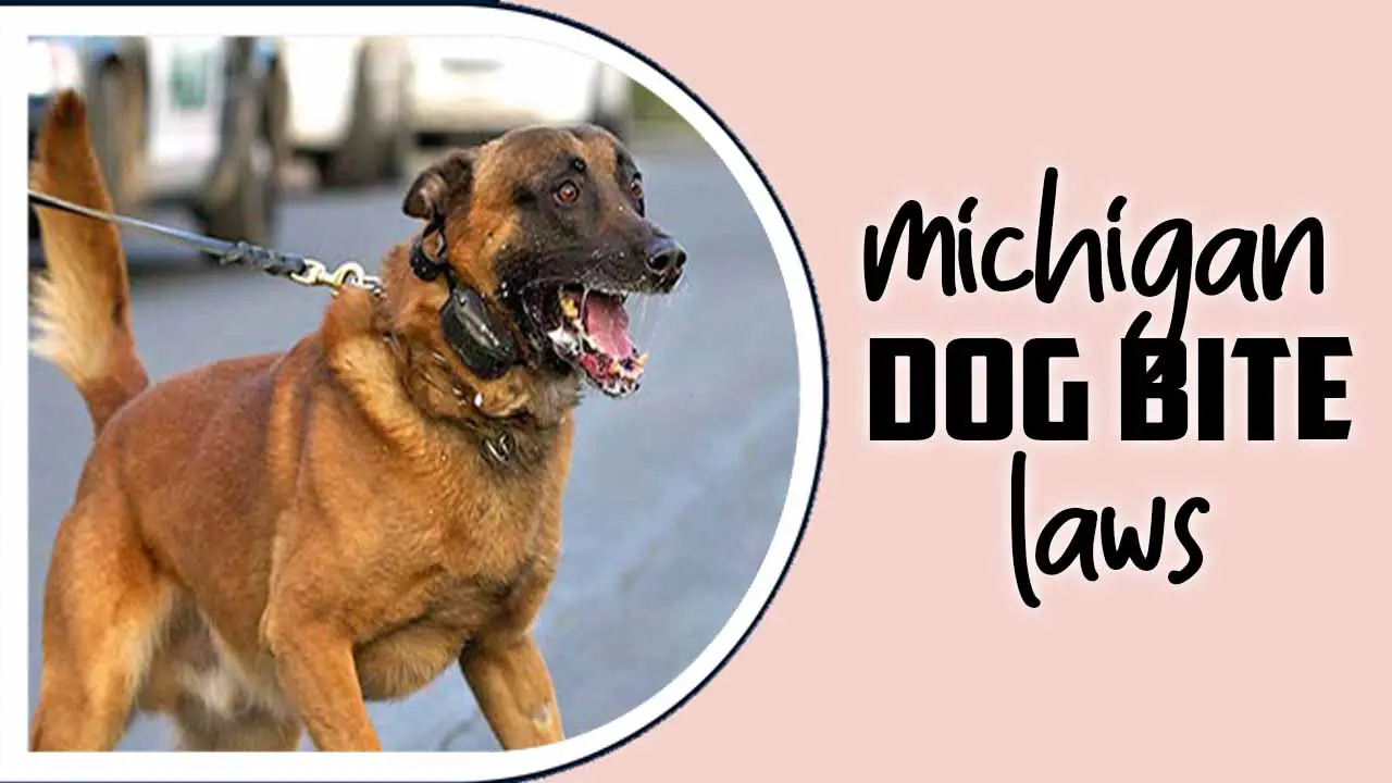 Michigan Dog Bite Laws