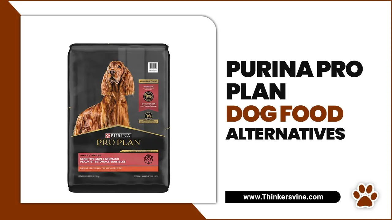 Purina Pro Plan Dog Food Alternatives