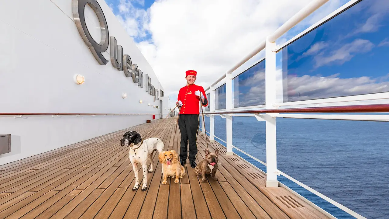 Restrictions And Regulations For Service Dogs On Cruises