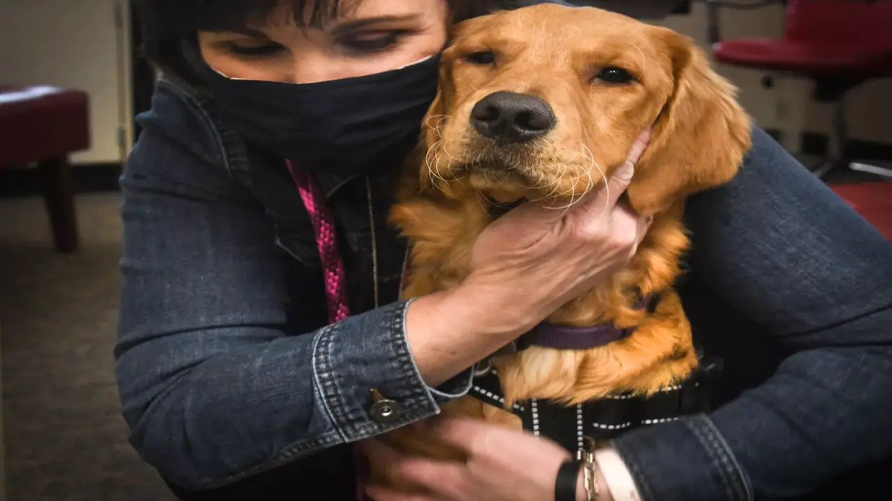 Rights Of Emotional Support Animals In Idaho