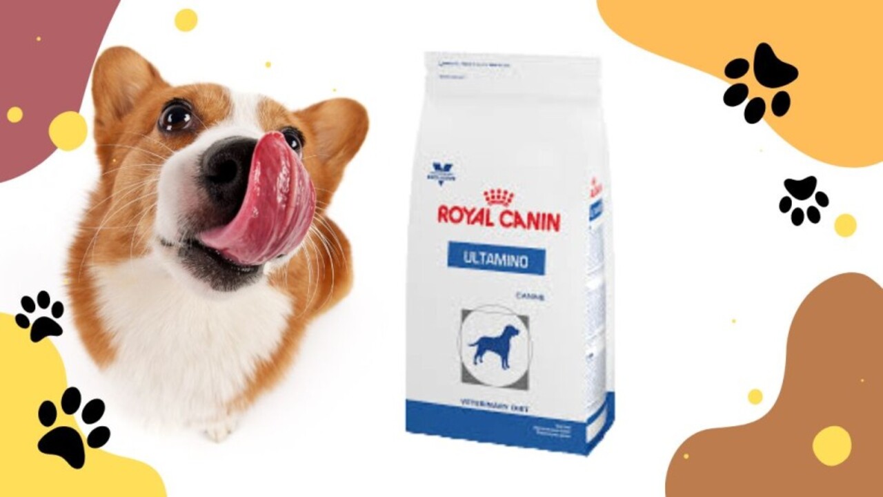 Royal Canin Canine Ultamino Dry Dog Food