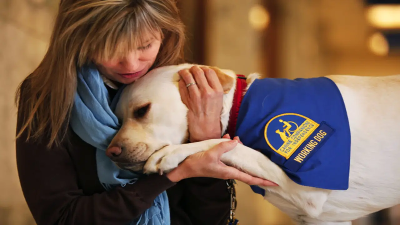 Service Dog Laws Colorado And Emotional Support Animals