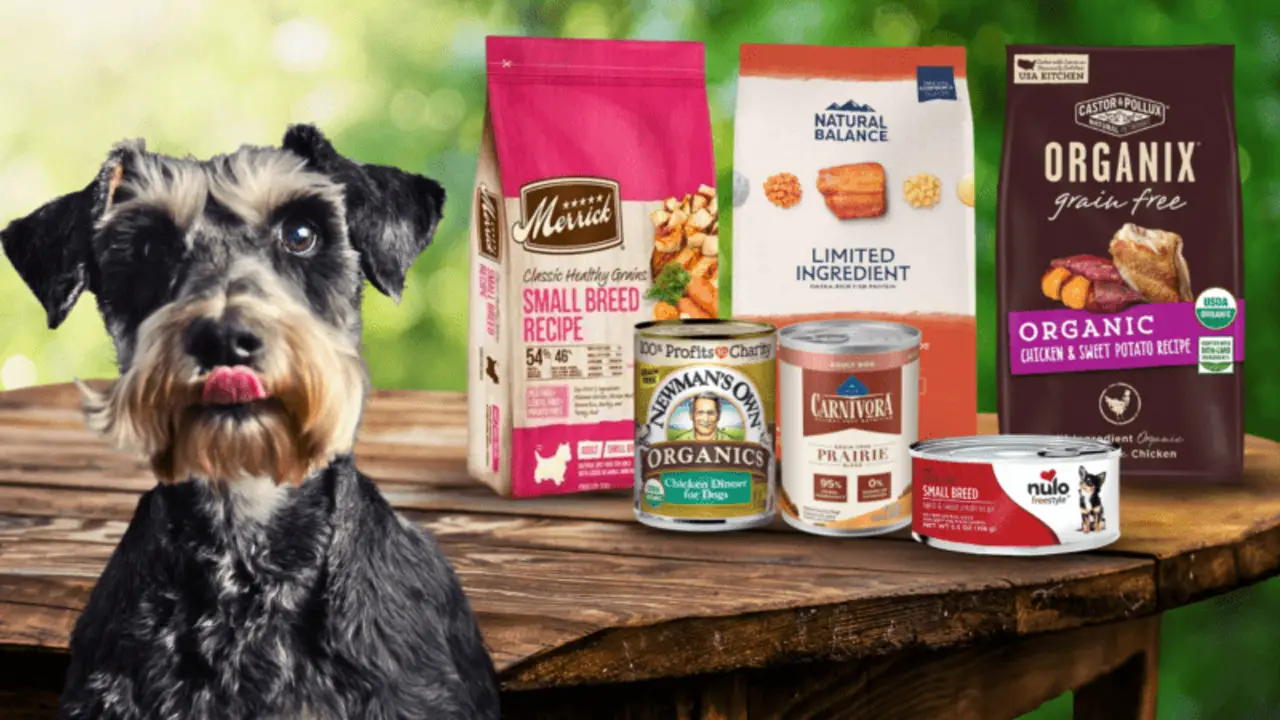 What Can Schnauzers Eat - Top 10 Food Picks