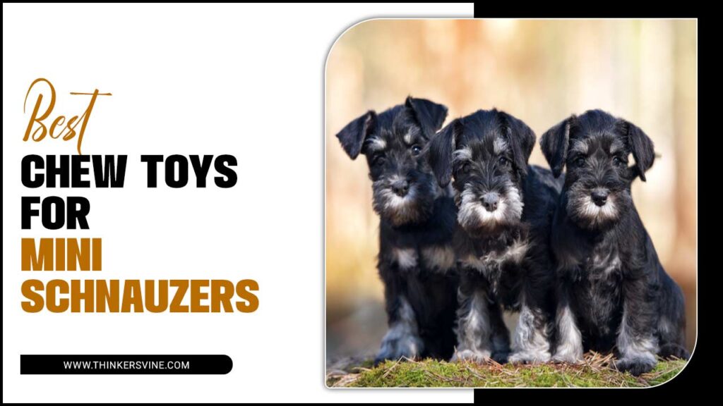 Best Chew Toys For Mini Schnauzers Exclusive Ideas