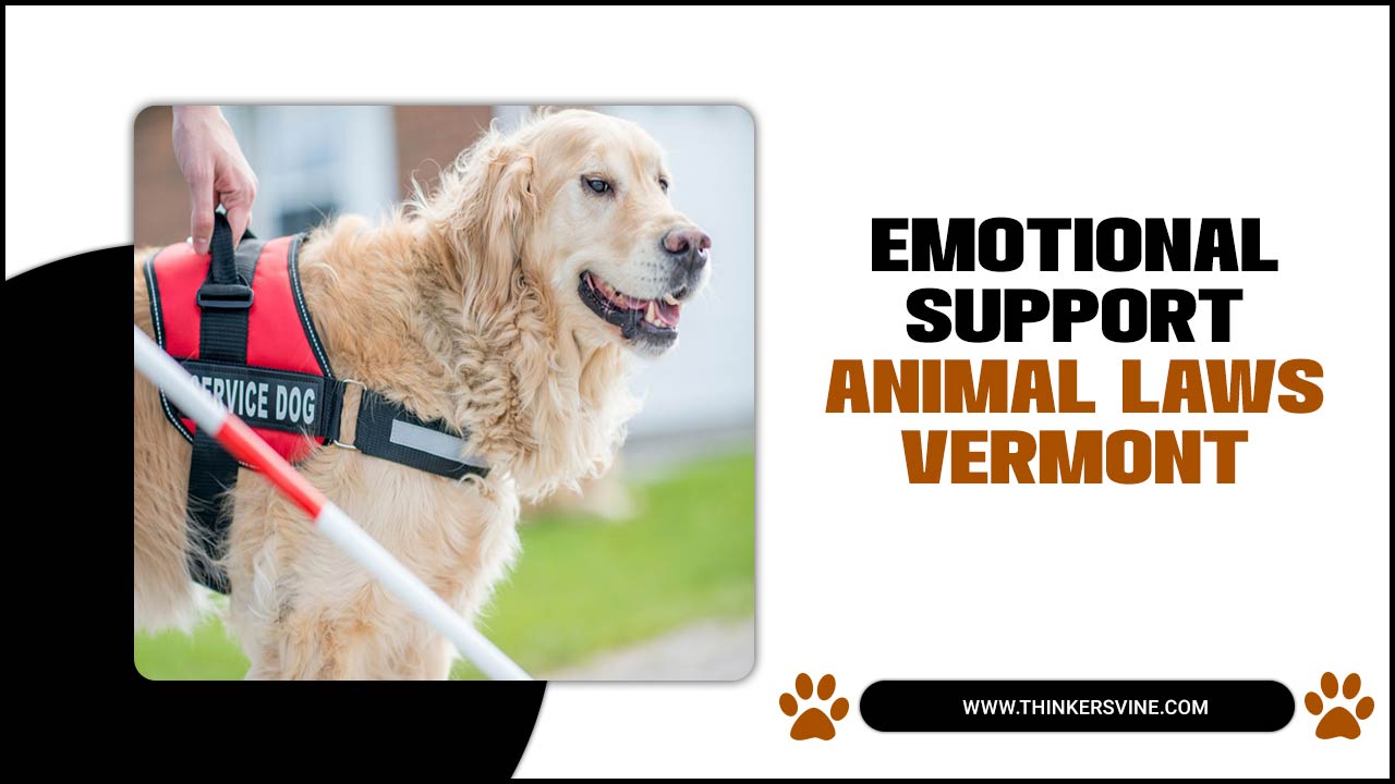 Emotional Support Animal Laws Vermont