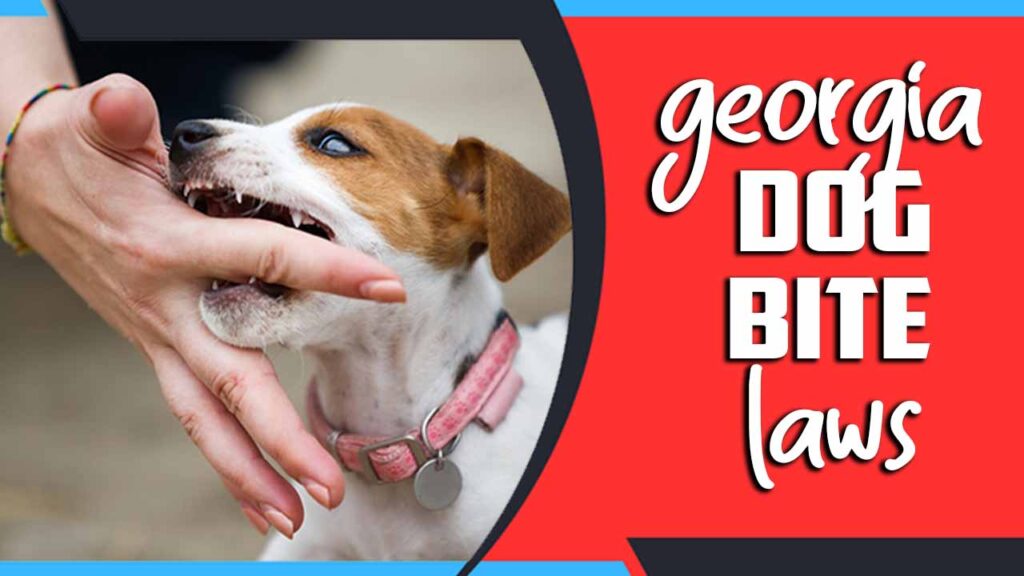 Dog Bite Laws Basics For Injured Victims