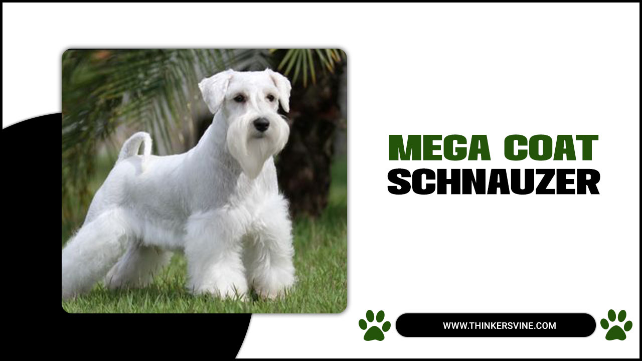 Mega Coat Schnauzer