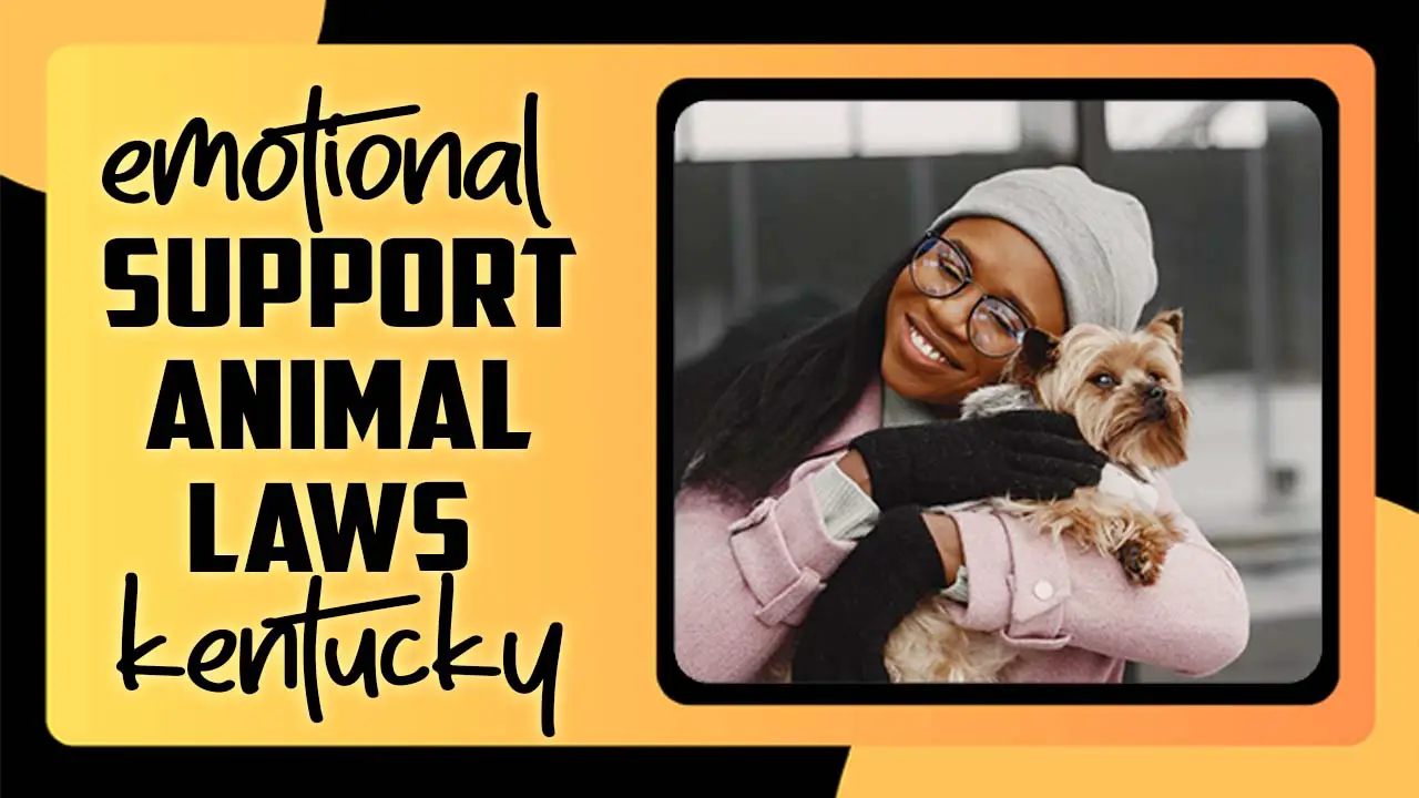 Emotional Support Animal Laws Kentucky