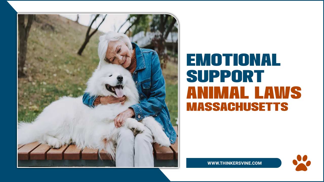 Emotional Support Animal Laws Massachusetts