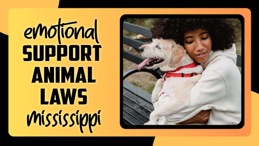 Emotional Support Animal Laws Mississippi What You Need To Know