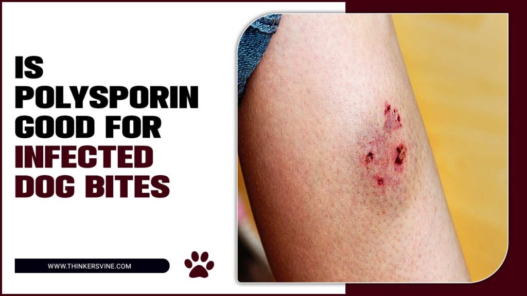 Is Polysporin Good For Infected Dog Bites? A Vet's Insight