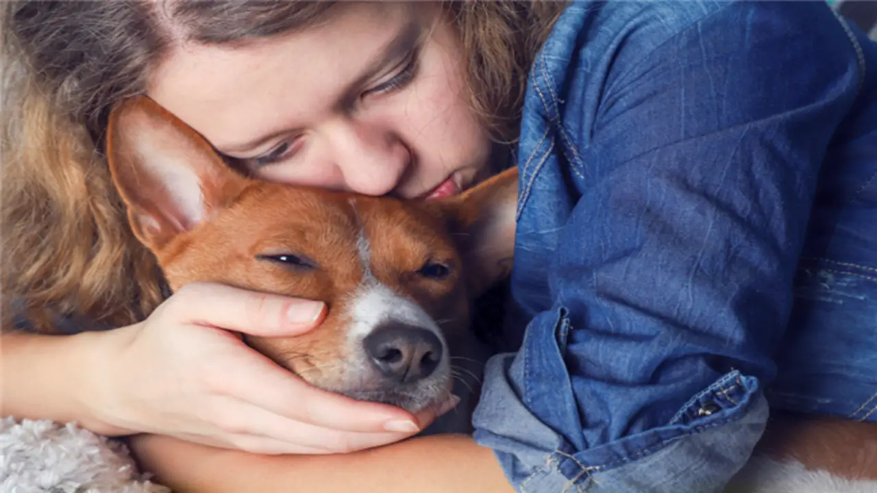 Roles And Benefits Of An Emotional Support Animal