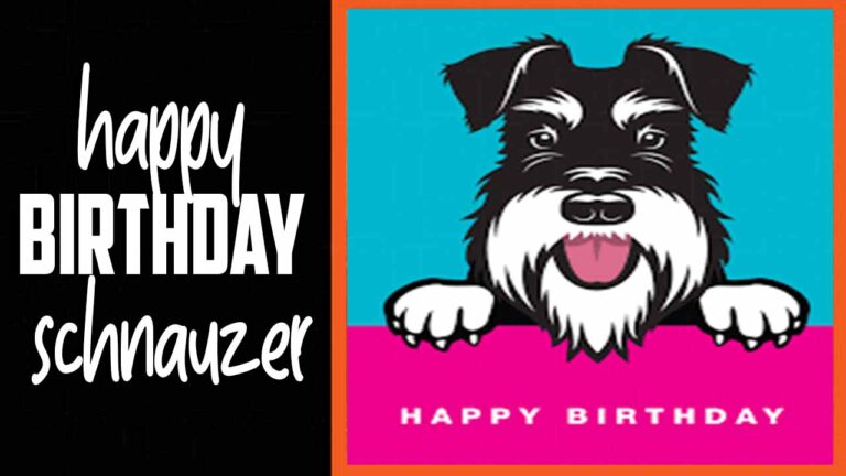 Happy Birthday Schnauzer