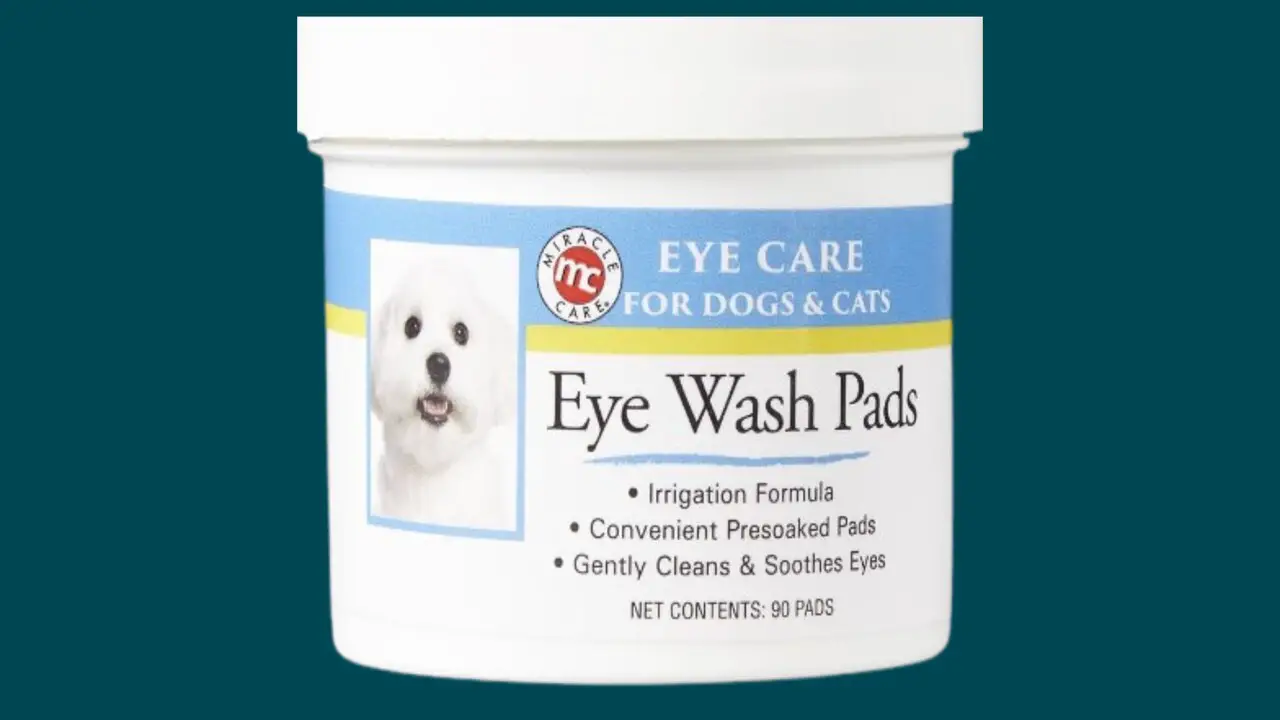 Different Types Of Eye Wash Pads In Pets